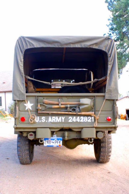 1954 Olive Drab Dodge Other Standard Cab Pickup