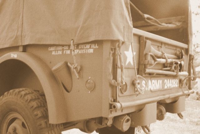 1954 Olive Drab Dodge Other Standard Cab Pickup