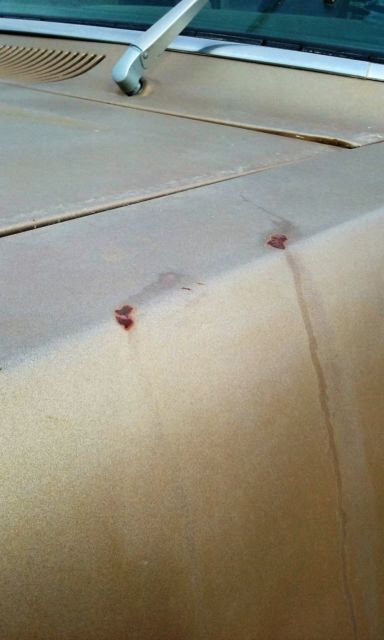 1975 Tan Dodge Power Wagon