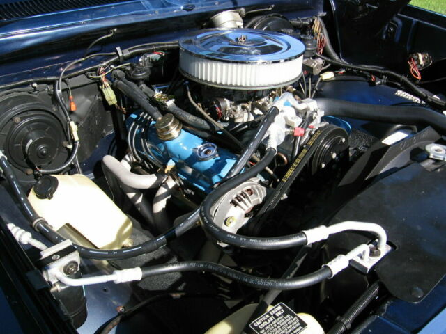 1982 Blue Dodge D150 Standard Cab Pickup