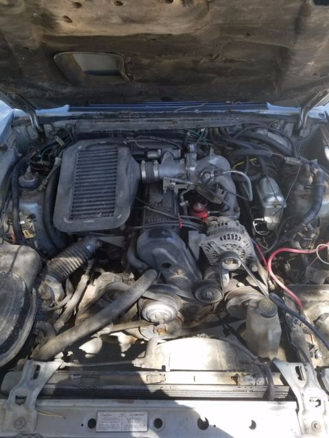 1984 Silver Ford Mustang Coupe