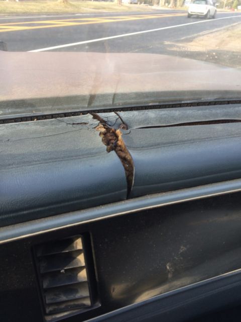 1986 Chevrolet El Camino Crew Cab Pickup