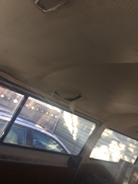 1971 tan Volkswagen Bus/Vanagon