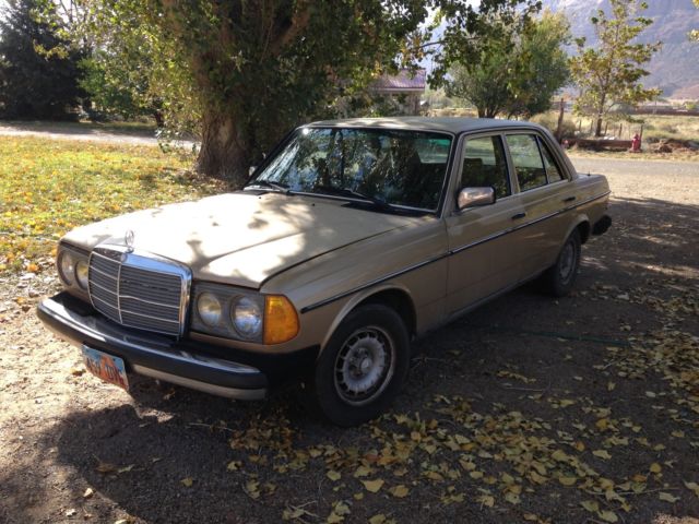 1984 Gold Mercedes-Benz 300-Series Sedan