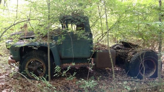 1955 Yellow Ford F-100
