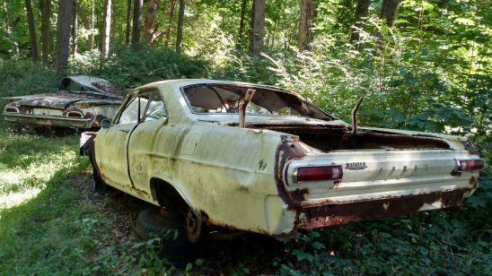 1955 Yellow Ford F-100
