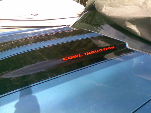 1971 Blue Chevrolet El Camino Standard Cab Pickup