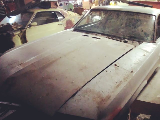 1969 Ford Mustang Fastback