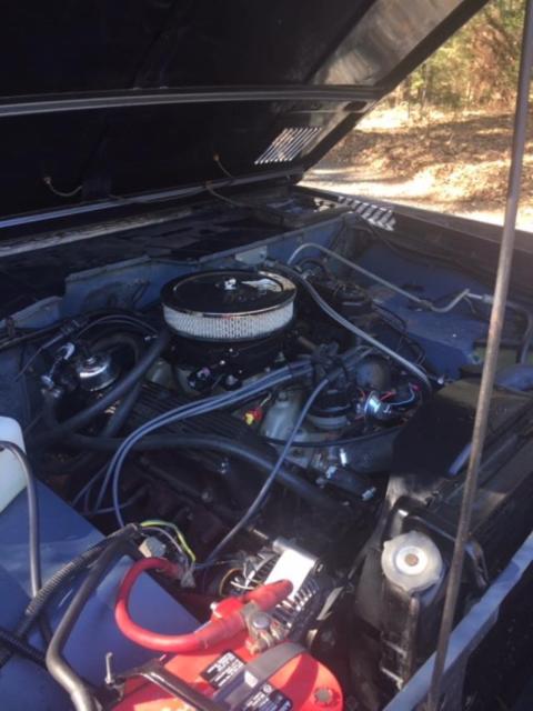 1969 Blue Ford Bronco