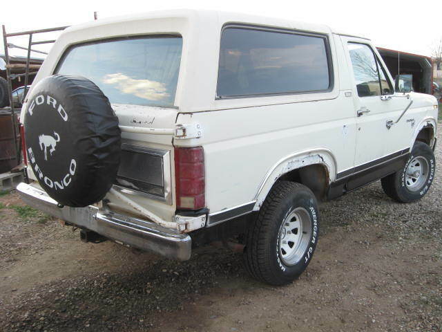 1981 White Ford Bronco SUV