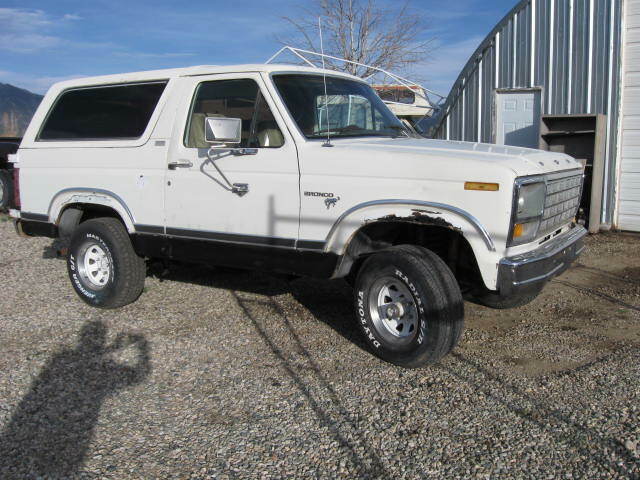 1981 White Ford Bronco SUV