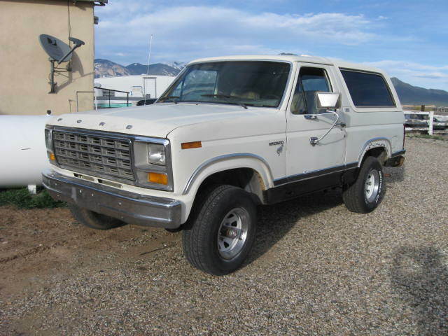 1981 White Ford Bronco SUV