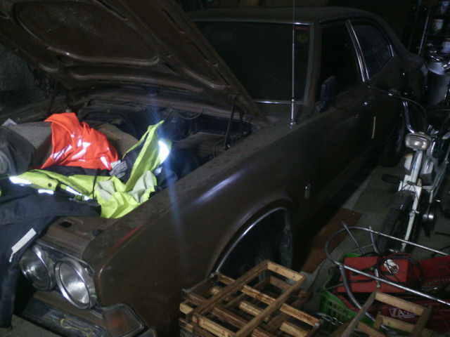 1973 Brown Ford Other