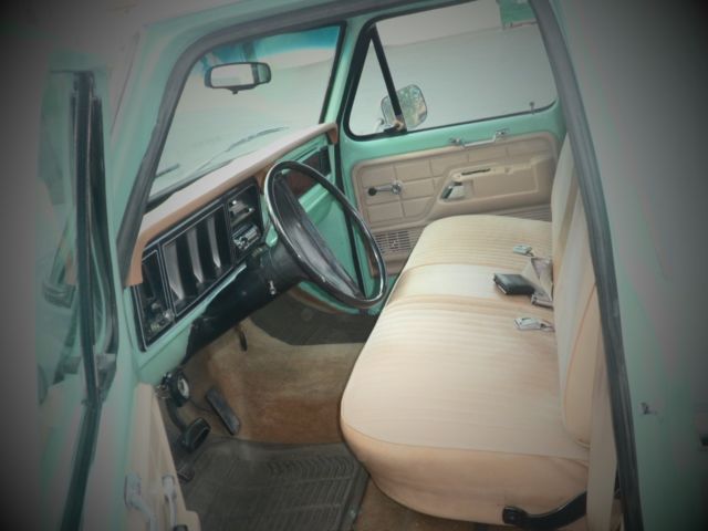 1979 Ford F-100