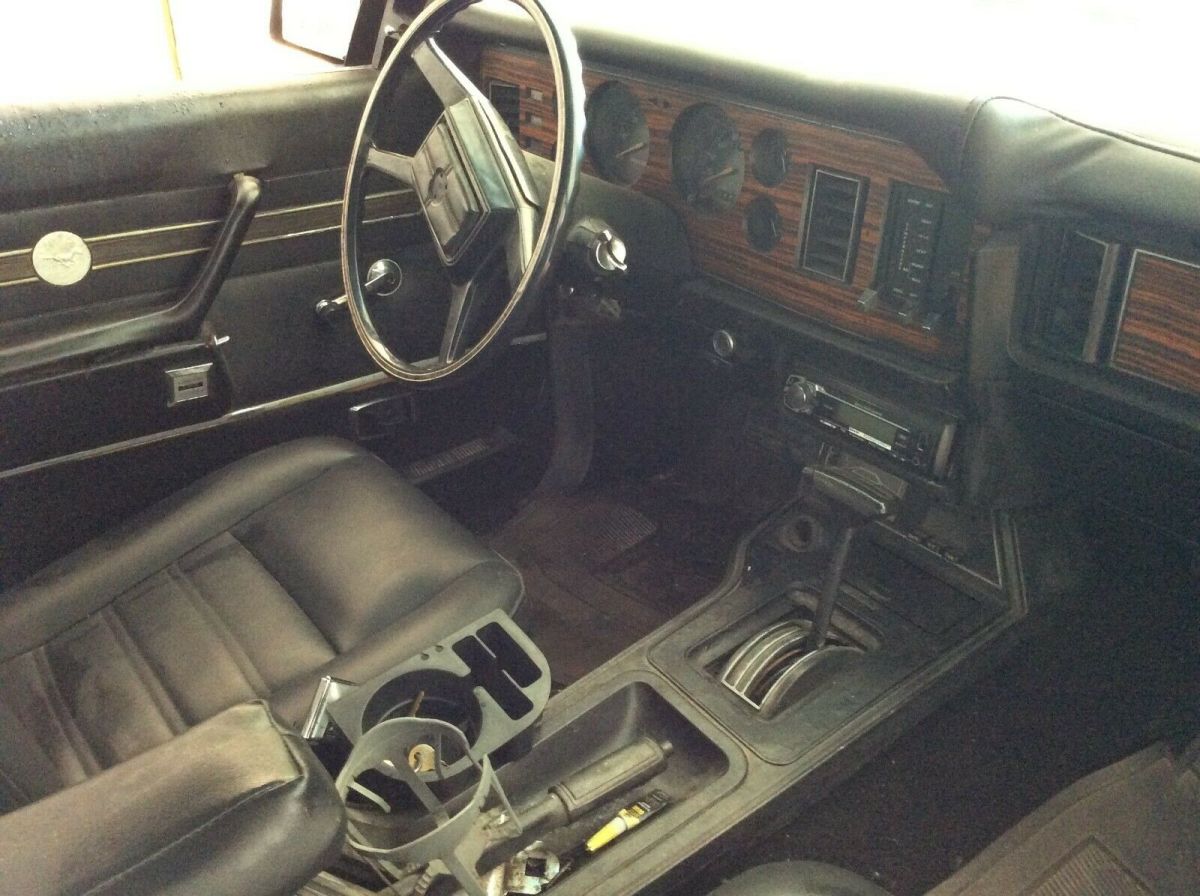 1979 Silver Ford Mustang Fastback