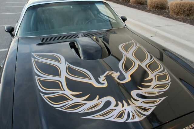 1976 Starlite  Black Pontiac Firebird Coupe