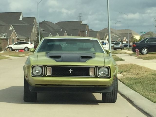 1973 Green Gold Metallic Paint Ford Mustang