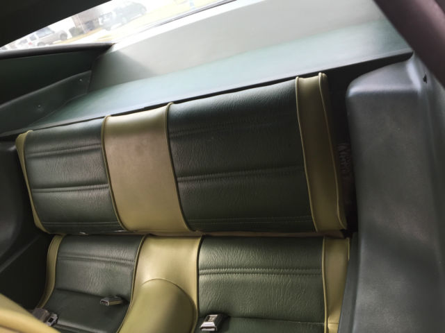 1973 Green Gold Metallic Paint Ford Mustang