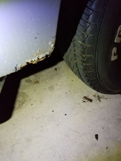 1978 Blue Ford Ranchero Standard Cab Pickup