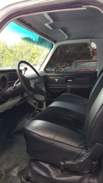 1980 Chevrolet Other Pickups