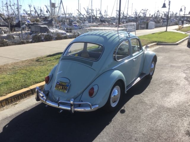 1965 Blue Volkswagen Beetle - Classic Coupe