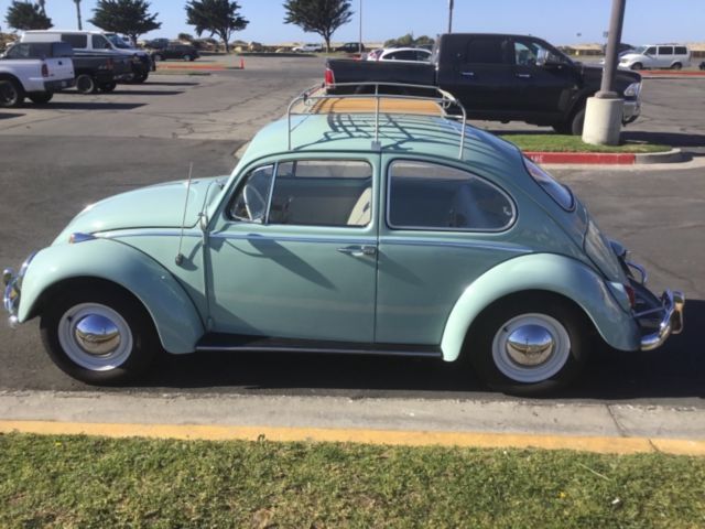 1965 Blue Volkswagen Beetle - Classic Coupe