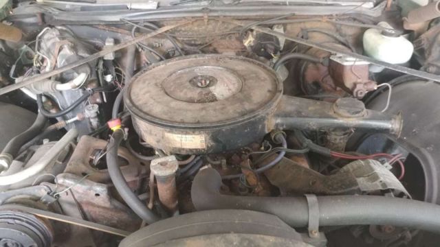 1973 Green Oldsmobile Eighty-Eight Sedan