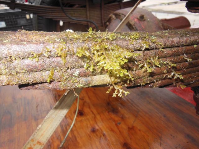 1949 Dodge Other Cab & Chassis