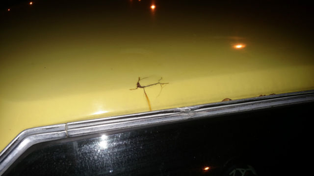 1973 Yellow Ford Other Fastback