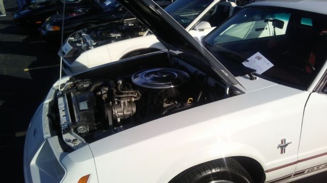1984 Oxford White Ford Mustang Hatchback