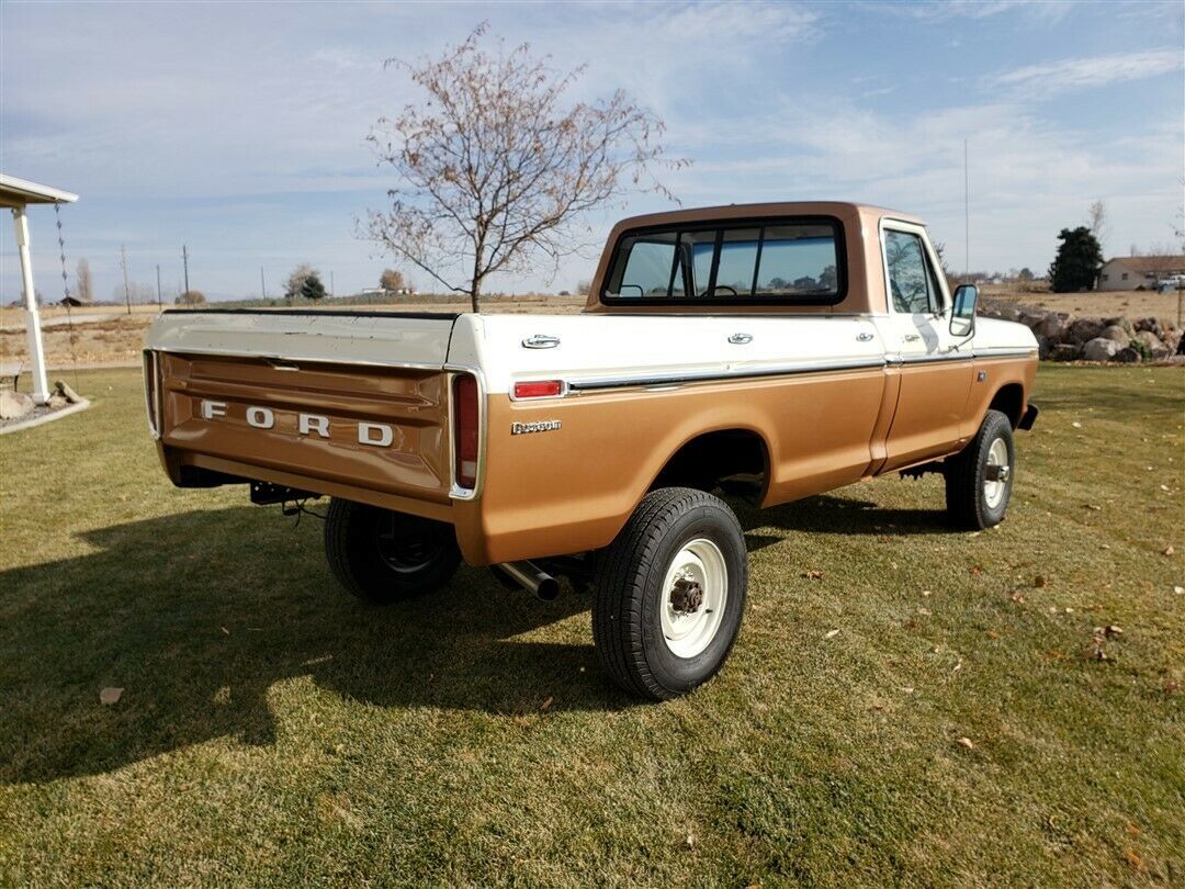 1976 Brown Ford F-250 Standard Cab Pickup
