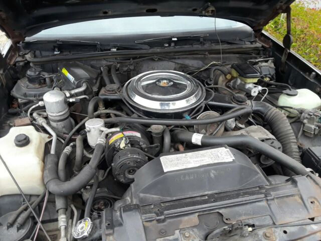 1979 Black Oldsmobile Cutlass Coupe