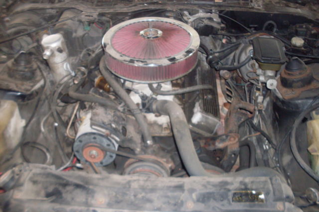 1984 BLACK  Chevrolet Camaro Coupe