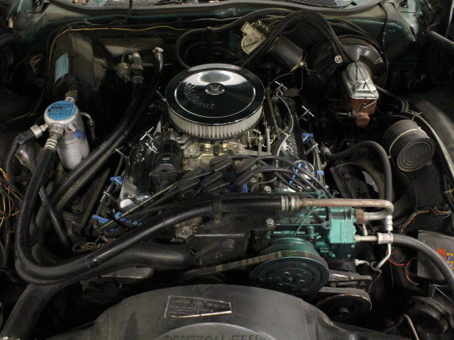 1979 Green Ford Thunderbird Coupe