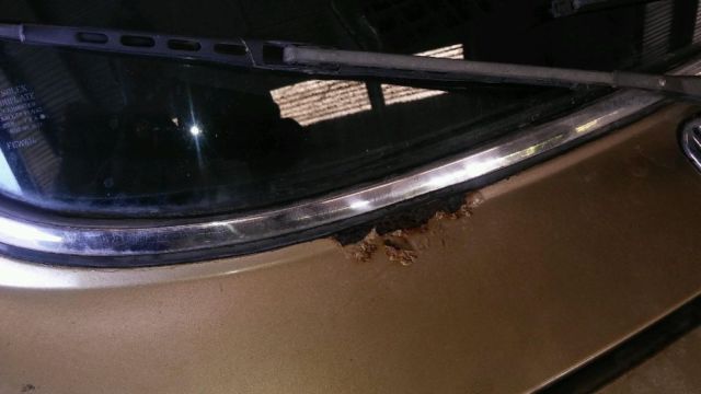 1984 Gold Jaguar S-Type 4 Door