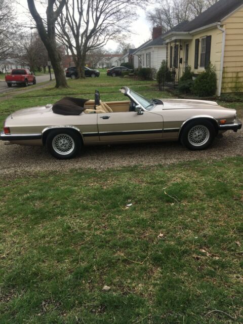 1991 Oyster Jaguar XJS Convertible
