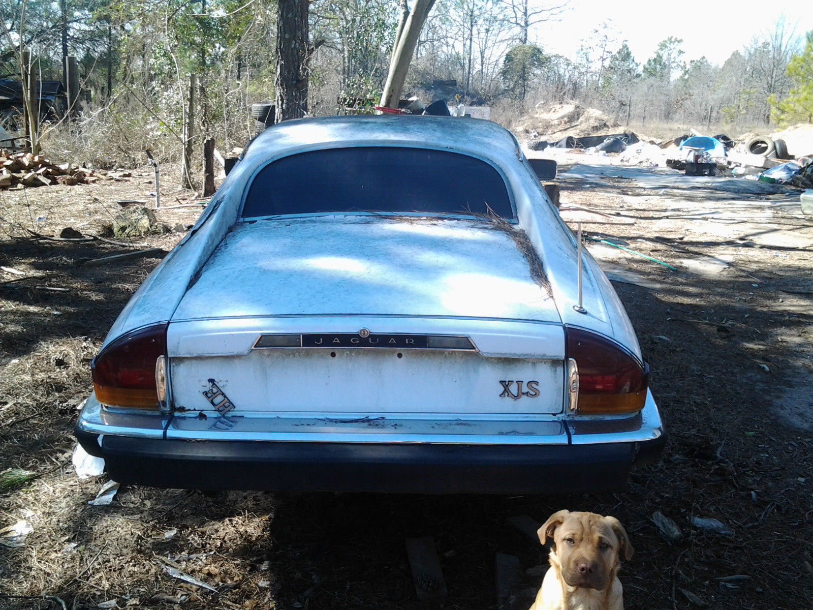 1985 White Jaguar XJS Fastback