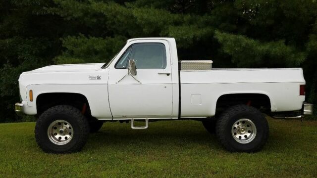 1979 Chevrolet C/K Pickup 1500