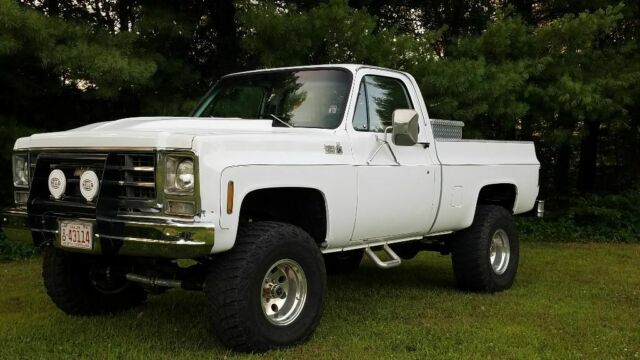 1979 Chevrolet C/K Pickup 1500