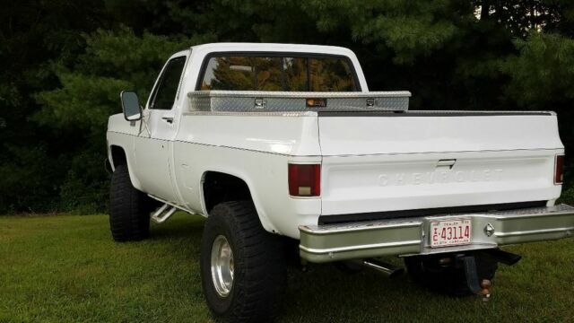 1979 Chevrolet C/K Pickup 1500