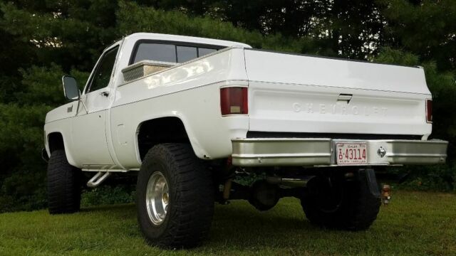 1979 Chevrolet C/K Pickup 1500