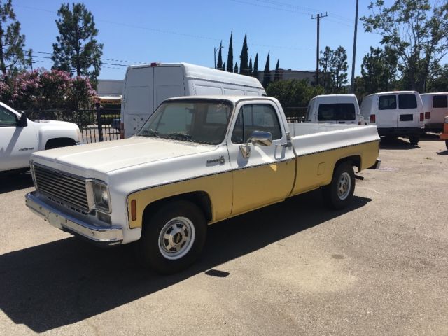 1979 Chevrolet C-10 Pick up