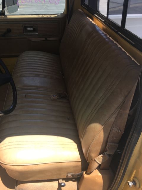 1979 Chevrolet C-10 Pick up