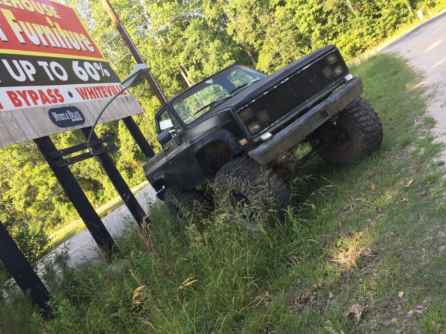 1987 Chevrolet Blazer Standard Cab Pickup