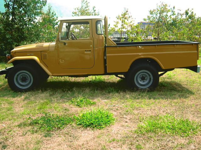 1981 Toyota Land Cruiser Pick Up