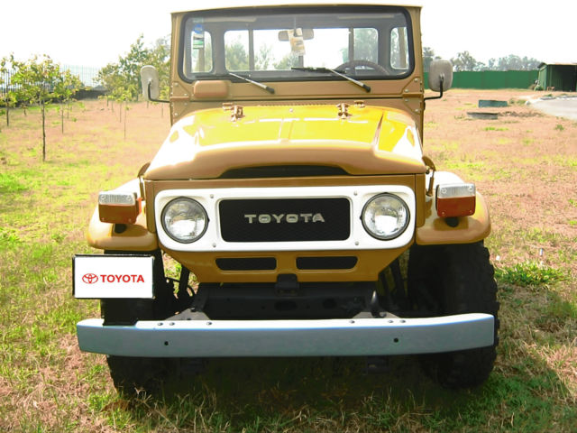 1981 Toyota Land Cruiser Pick Up