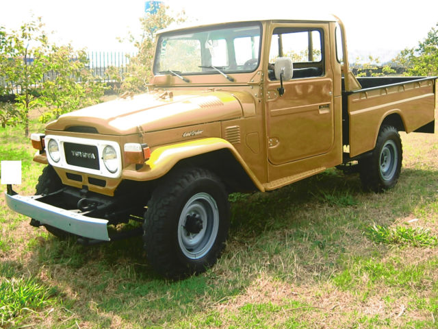 1981 Toyota Land Cruiser Pick Up