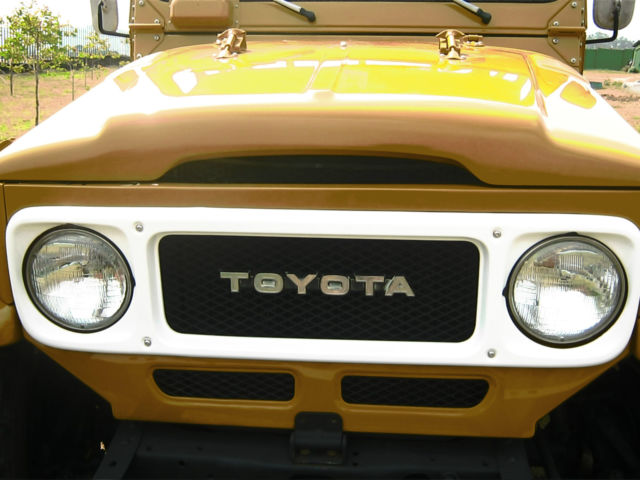 1981 Toyota Land Cruiser Pick Up