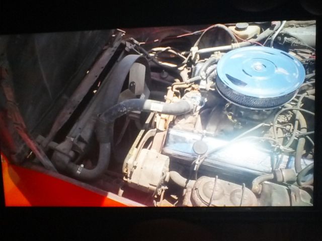 1981 Red Chevrolet Corvette