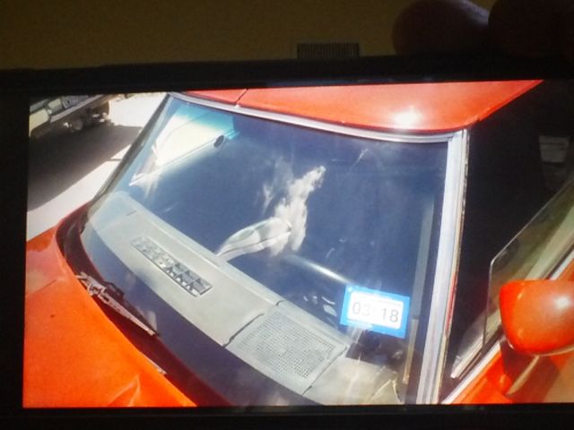 1981 Red Chevrolet Corvette